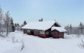 Pet Friendly Home In Venabygd With Sauna